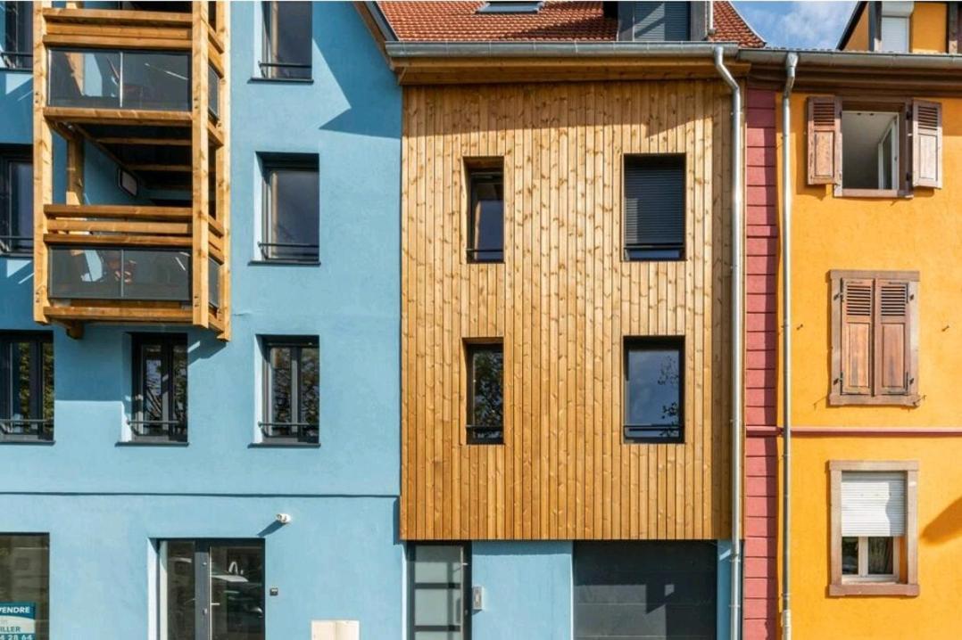 Le Nature 1 Chambre Et Sauna Colmar Exterior foto